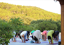 Retiro de Yoga Integral